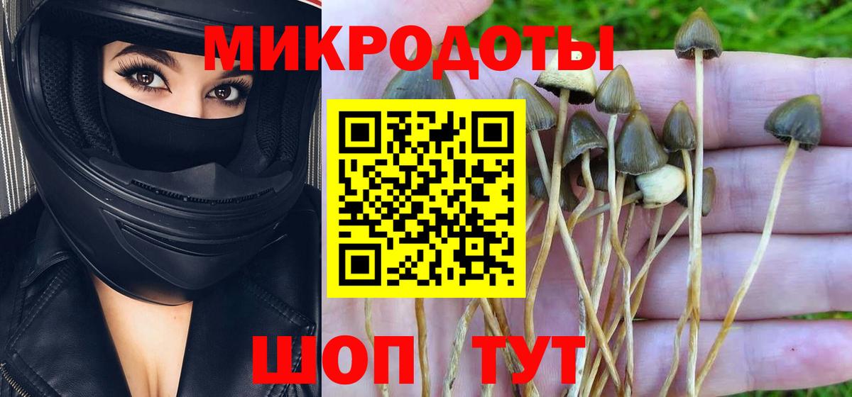 Галлюциногенные грибы Cubensis  Псилоцибиновые грибы GOLDEN TEACHER  Смоленск  Вход с VPN 